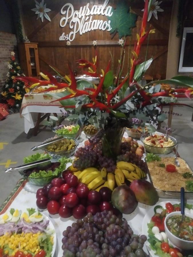 Pousada Dos Platanos Нова-Петрополис Экстерьер фото